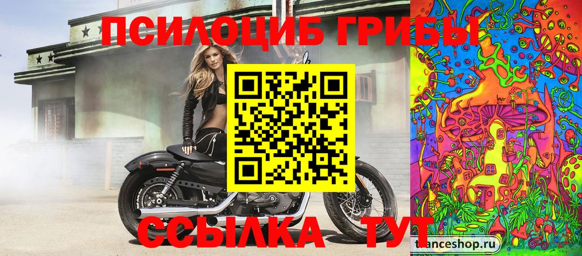 Галлюциногенные грибы прущие грибы Иваново